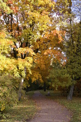St.Petersburg Russia-10/11/2019:  Autumn at Ekaterhof Park