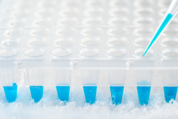 Plastic tube, pipette tip filled in with blue reaction mixture and 96 well plate. Professional...