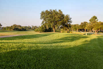 Fototapeta na wymiar Golf Courses in Celebration, Florida are famous, developed by Disney. It has lakes, challenging vegetation, tree-lined and beautiful landscape. Clubs offer golf lessons and excellent infrastructure.