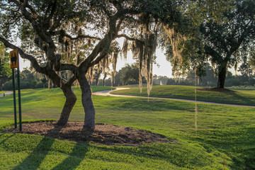 Golf Courses in Celebration, Florida are famous, developed by Disney. It has lakes, challenging...