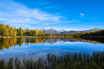 Fototapeta premium Autumn landscape in the mountains. Reflection of mountains and yellow, green trees on the surface of the lake. Altai.