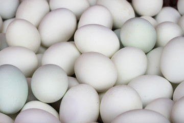 Duck eggs. 