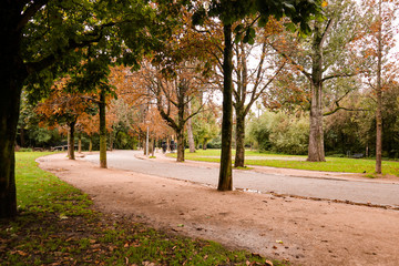 Autumn in the park with trees and path