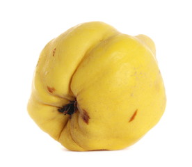 Quince isolated on white background