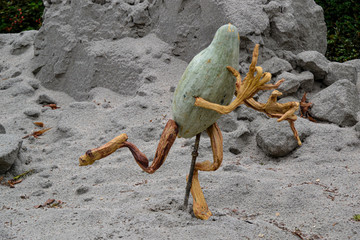  Kürbis mit Gesicht / Kürbisfiguren im blühenden Barock / Kürbisausstellung in Ludwigsburg