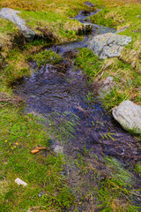 Mountain stream flows along the mountainside, snow. Nature background in spring or summer. Selective focus.