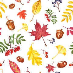 Cheerful and colorful autumn seamless pattern with watercolor leaves and berries on white background. Maple and oak leaf, rowan berry branch, acorn, chestnut, ginkgo foliage. Fall nature illustration.