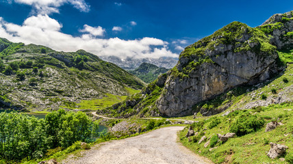 Fototapeta na wymiar Lagos de Covadonga, Asturias, España