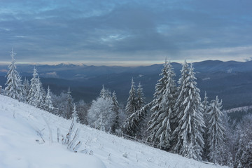 Fototapeta premium Magic winter fogs in Ukrainian Carpathians overlooking the snow-capped mountain peaks from the picturesque mountain valley with tourists in tents.