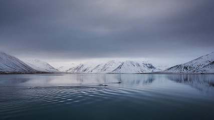 Snaefellsnes - Kolgrafarfjördur © HerrKaiser
