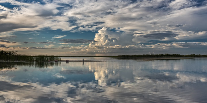 Loxahatchee Reflections