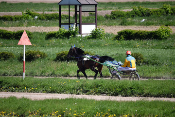racing at the racetrack in the city