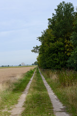 Feldweg am Waldrand