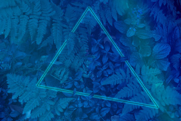 Neon light frame glowing behind leaves. Duotone creative background