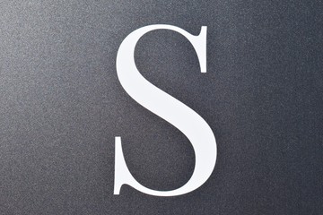 Large Graphic Letter S 2045-040