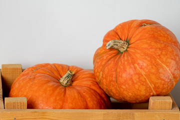 Orange pumpkins close-up. Background of pumpkins. Halloween, Thanksgiving, Harvest. Selective focus