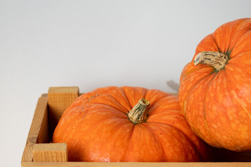 Orange pumpkins close-up. Background of pumpkins. Halloween, Thanksgiving, Harvest. Selective focus