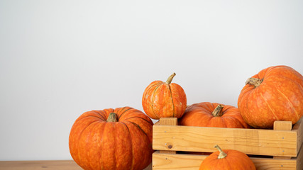 Orange pumpkins in a wooden box on a white background. Halloween, Thanksgiving, Harvest. Selective focus