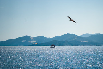 Obraz premium Ship and Seagulls on the sea with the view of Thassos Island in the background