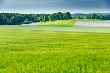 Obraz premium Felder Lusthof