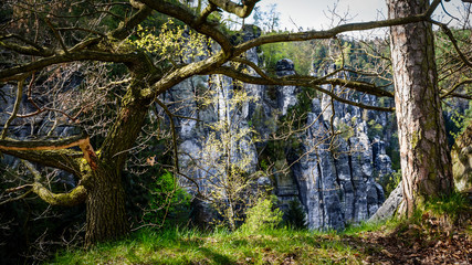Bastei – das Juwel des Nationalparks Sächsische Schweiz
