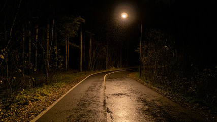 walk in the night park in autumn in the rain