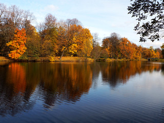 Fototapeta na wymiar colorful autumn trees and their reflection in the water