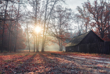 Beautiful autumn morning in the forest at dawn. In the forest stands a wooden old house. The sun's rays shine through the fog and illuminate the field in the forest.