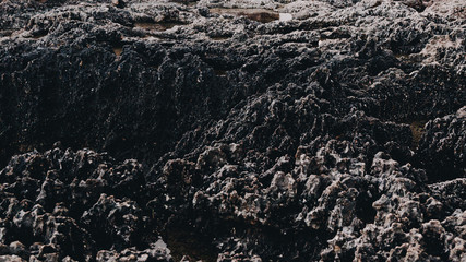 texture of rocks created by wind and seawater