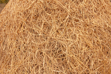 Hay background. Hay in the village closeup texture