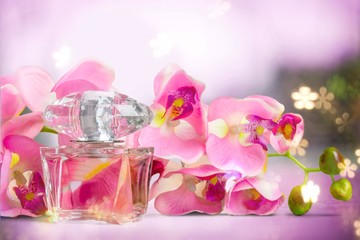 Perfume bottle  isolated on white background.