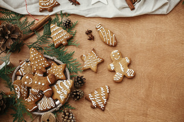 Christmas gingerbread cookies on vintage plate and anise, cinnamon, pine cones and cedar branches on rustic table. Baked traditional gingerbread man, tree, star cookies. Seasons greetings © sonyachny