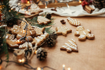 Christmas gingerbread cookies on vintage plate and anise, cinnamon, pine cones, cedar branches  with golden lights on rustic table. Baked traditional gingerbread man, tree, star cookies