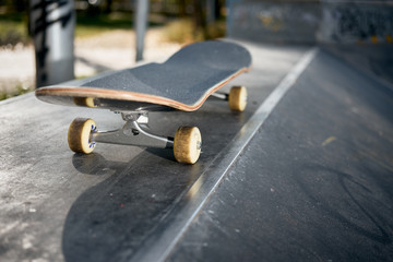 Closeup of skateboard in concrete skatepark on warm day