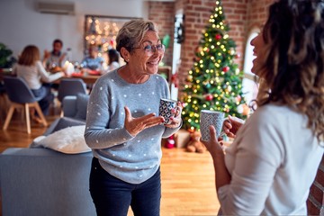 Family and friends dining at home celebrating christmas eve with traditional food and decoration, women talking together happy and casual