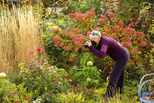 Senior white haired caucasian female crafting her skill as a photographer in her midwest garden