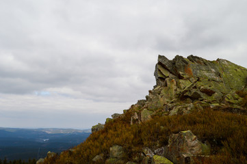 Fototapeta premium Wolfswarte