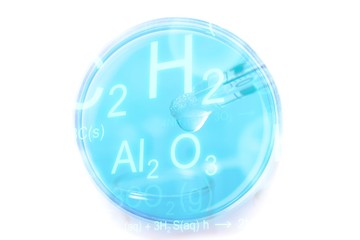 Fototapeta premium Empty Petri dish, close-up view