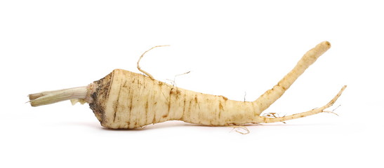 Fresh parsnip root isolated on white 