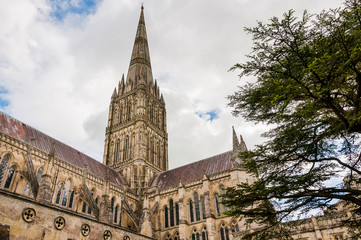 Fototapeta na wymiar Salisbury, Kathedrale, Altstadt, Stadt, Wiltshire, Südengland, Frühling, England