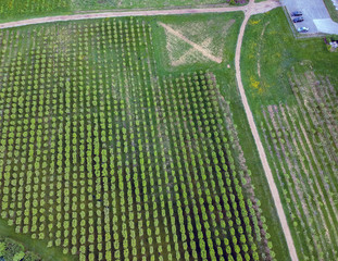 Wonderful aerial photography of Larsen Lake Blueberry Farm. Located in Bellevue Washington.