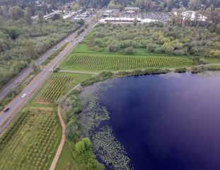 Wonderful aerial photography of Larsen Lake Blueberry Farm. Located in Bellevue Washington.