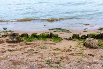 Remains of a wooden military fortification on a river island
