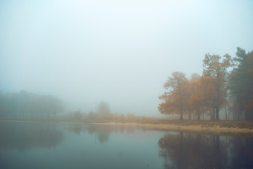 Fototapeta na wymiar Trees on the shore of a lake. Autumn nature. Toning photos.