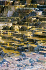 Mammoth Hot Springs at Yellowstone