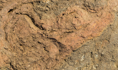 Rock plate. Colored stone surface. Wall of the house. Geology and Metamorphic rocks.