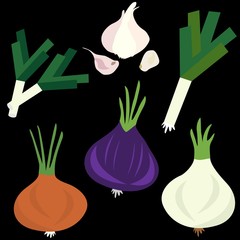 Set icons of onion and garlic.  Vector clipart of eco vegetables. - 297911742