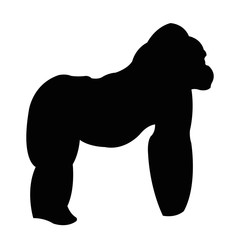 Gorilla silhouette vector illustration isolated