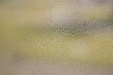 drops of autumn rain on the window macro