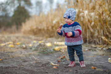 Beautiful baby in warm stylish sweater Little girl eating corn on the field. Harvest time. organic agriculture for children. Cute child on a foggy autumn evening outdoor. Happy children day concept